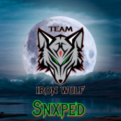 Snxped Team pfp test